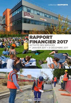 Rapport Financier Mel 2017
