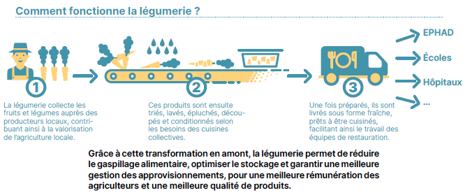 légumerie métropolitaine légumerie métropolitaine
