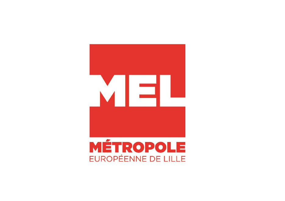 Annexe 1 : Rapport consolidé (pdf)