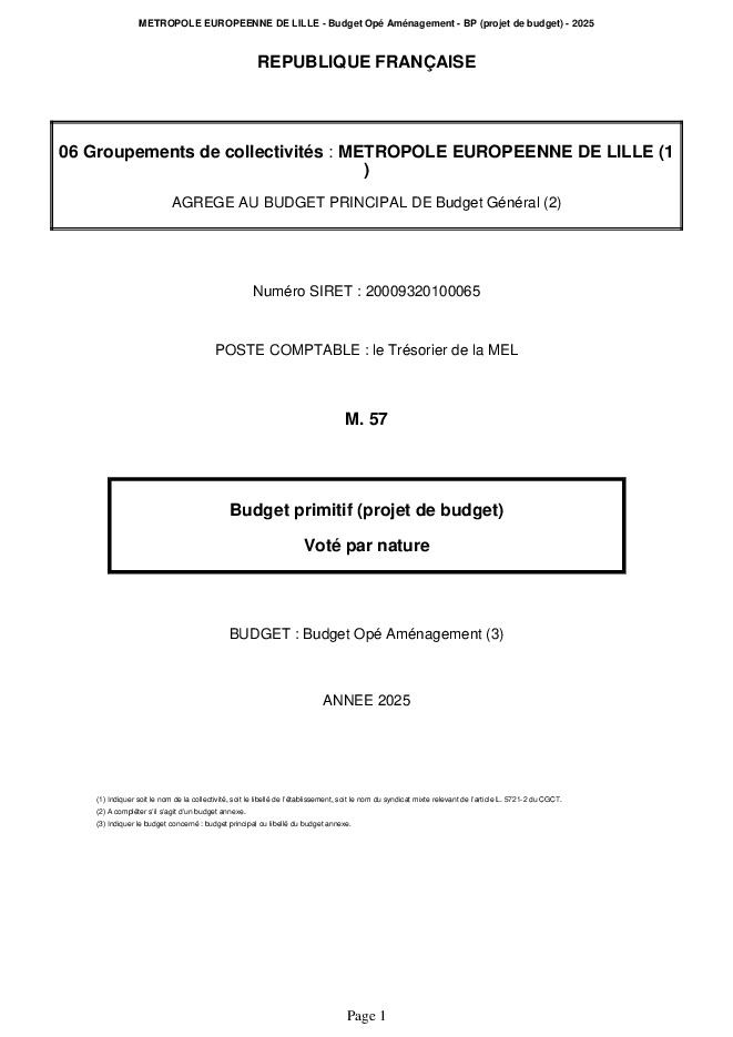 Budget primitif 2025 Maquette OPA (.pdf)
