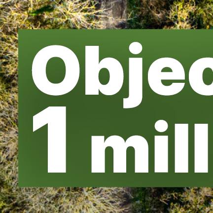Planter un million d’arbres 
