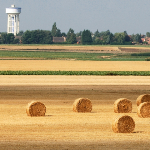 Une enquête publique pour protéger les espaces agricoles et naturels périurbains