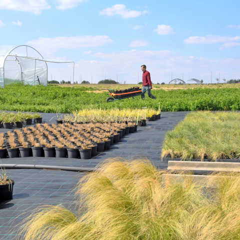 Concours des pratiques agroécologiques : 4 candidats du territoire en lice