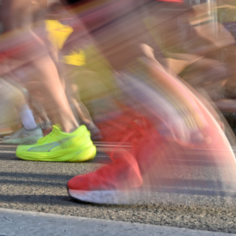Marathon de Lille 2026 : circulation, horaires et Fan Zone, toutes les infos