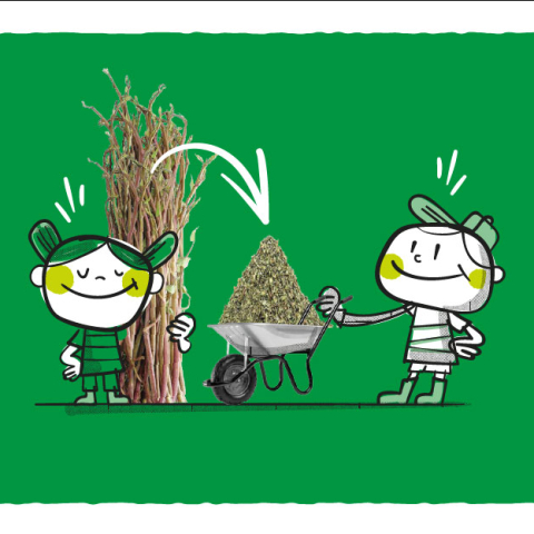 Venez avec vos branches, repartez avec du broyat !