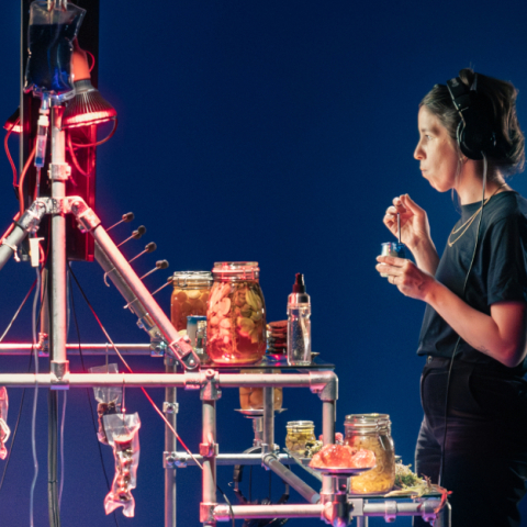 Panorama 27 — Simultanéité : l’effervescence visuelle au Fresnoy
