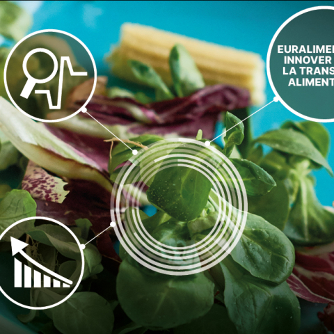 « Innover pour la transition alimentaire » : une 4e édition pour accélérer la transformation de nos pratiques et la transition alimentaire 
