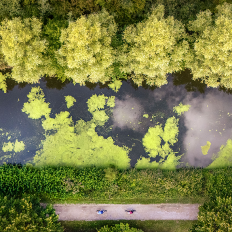 1 million d’arbres : la MEL passe à l’action et dévoile les premiers projets de plantation du territoire