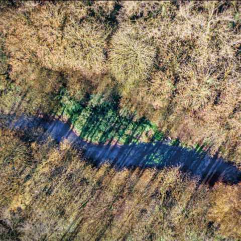 Gardiennes de l’eau : la protection de la ressource en eau, levier de transformation innovante du territoire 