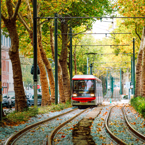 La MEL fait don de ses anciennes rames de tramway à la ville ukrainienne de Mykolaïv