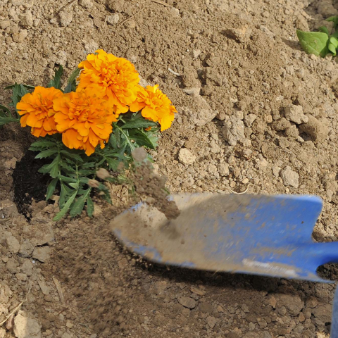 Budget participatif métropolitain #2 : la nature au cœur des projets citoyens