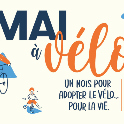 Mai à vélo : un mois de défis et d’événements avec la MEL