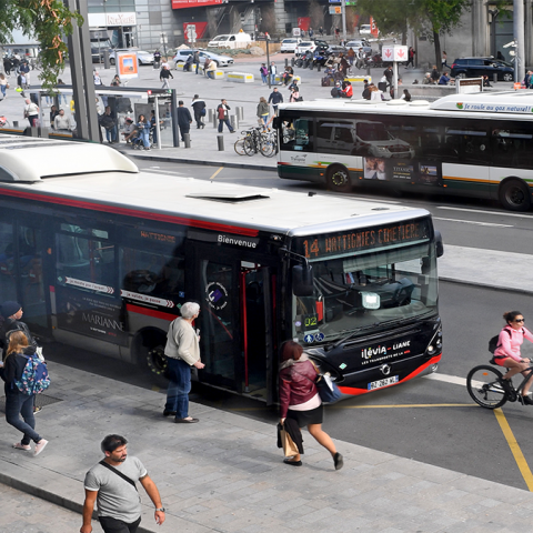 La MEL fait le choix de la concession de service public pour ses transports en commun