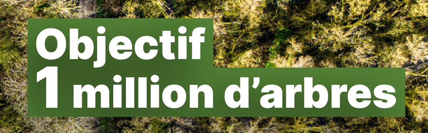 Planter un million d’arbres