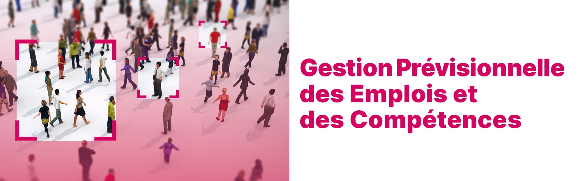 Appel à projets : gestion prévisionnelle des emplois et des compétences 2026