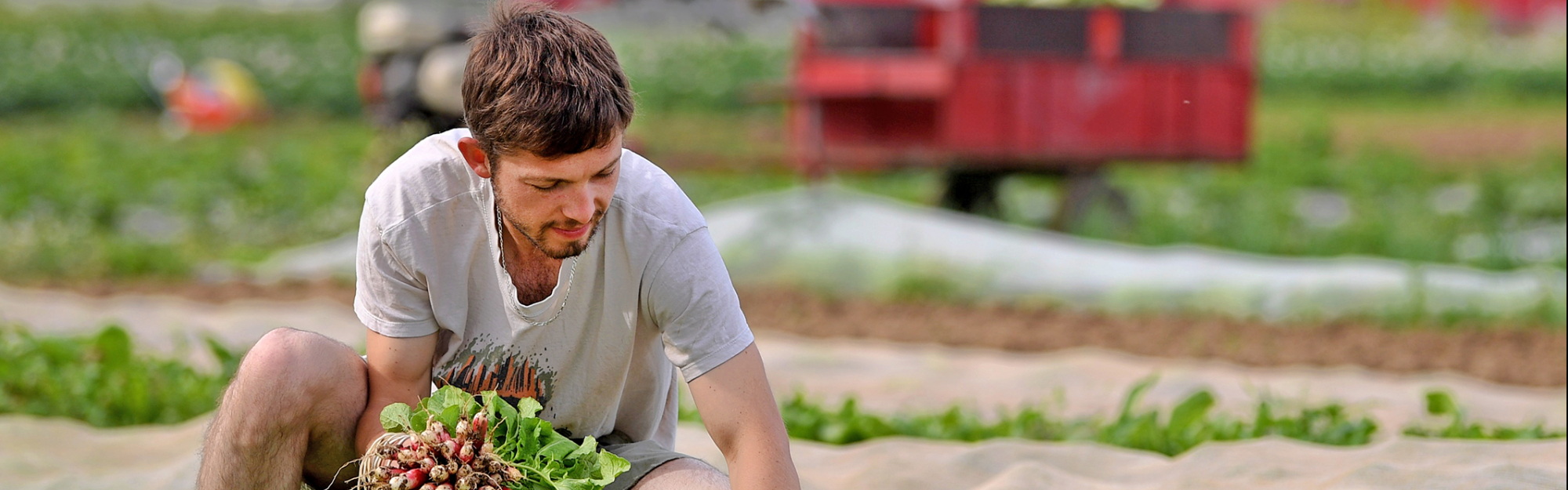 Agriculture et alimentation : Terreau fertile