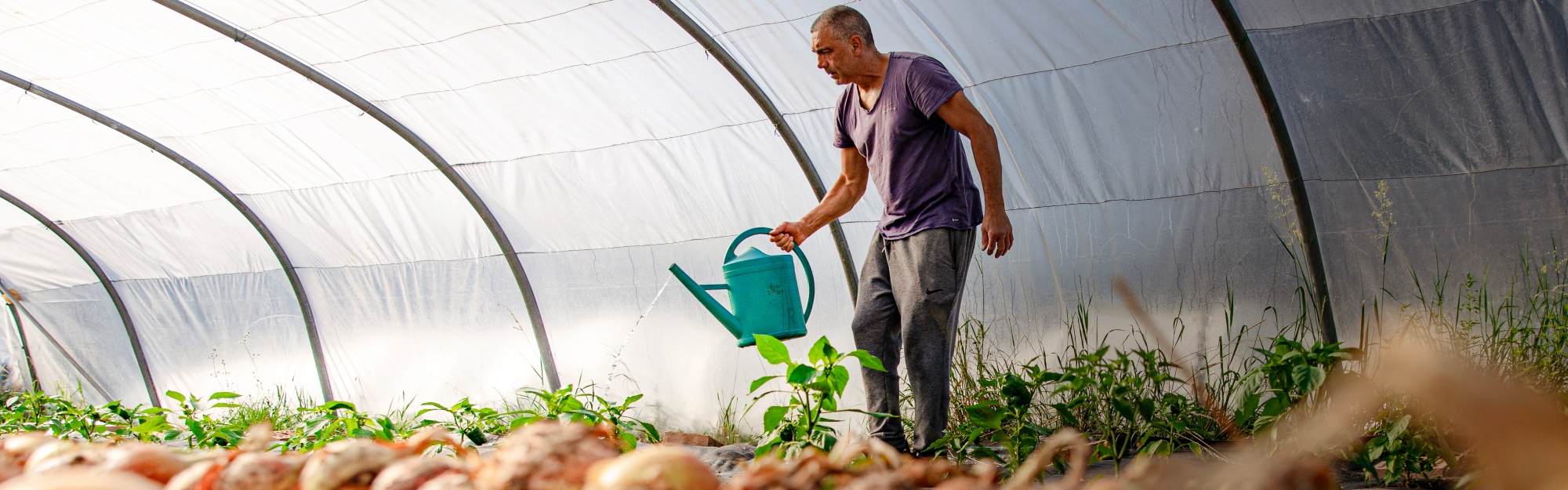 L’innovation au service de la protection de nos sols