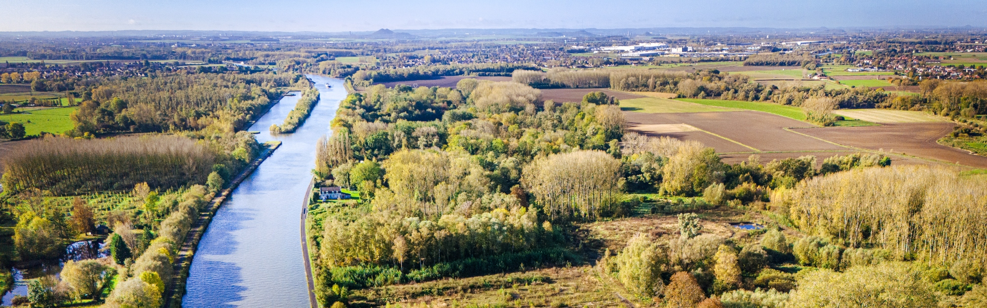 Au futur parc de la tortue, on va préserver la nature et la mémoire