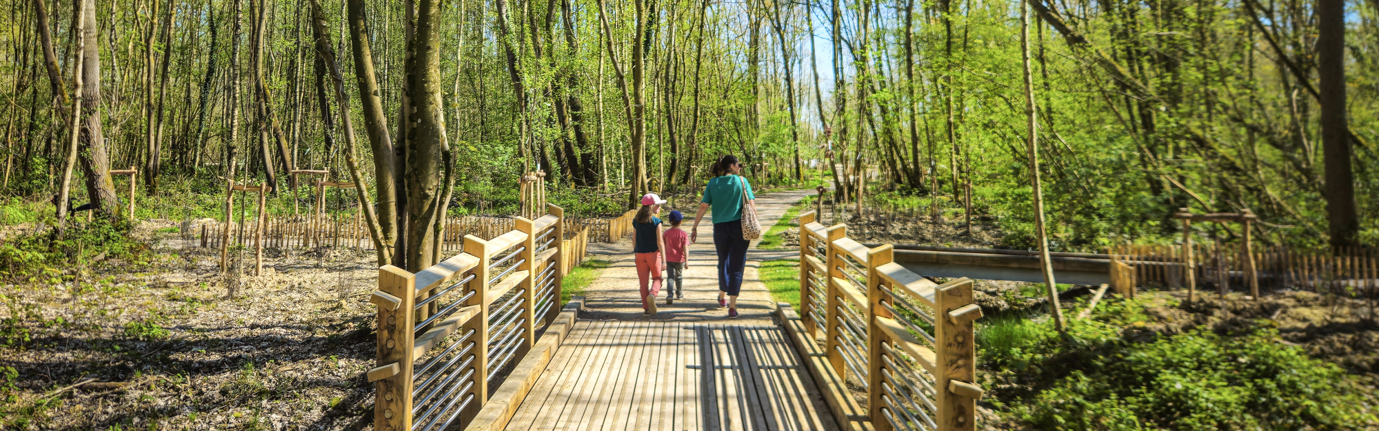 Verlinghem : le bois du Tournebride vous enchante