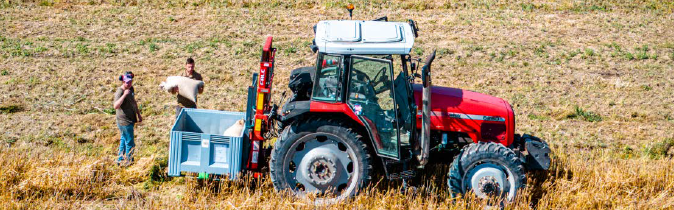 Pour mieux produire et mieux manger, la Métropole investit 1,2 million d’euros dès 2025 dans une agriculture durable
