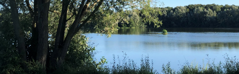 Métropole turquoise : 1 million d’arbres et un investissement de 250 millions d’euros pour la biodiversité