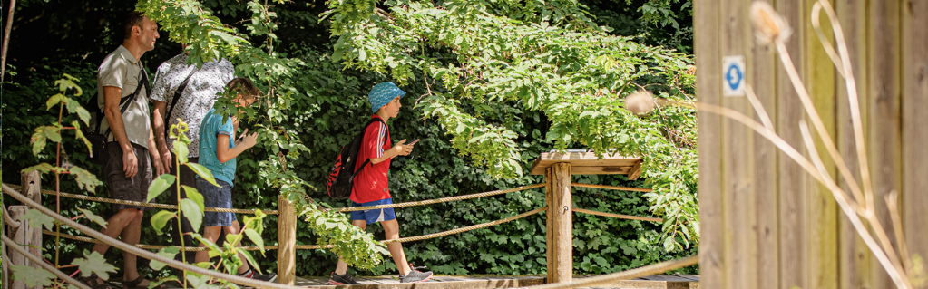 S’émerveiller, s’amuser, s’activer et apprendre en juillet dans les Espaces Naturels métropolitains