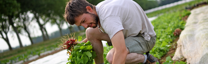 Avec plus de 2,7 millions d’euros sur 6 ans, la Métropole crée deux nouveaux soutiens pour préserver l’agriculture locale