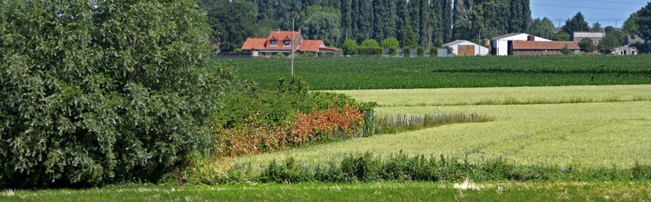 Concours Agricole des Pratiques Agroécologiques, la MEL met à l’honneur des agriculteurs du territoire engagés pour la biodiversité