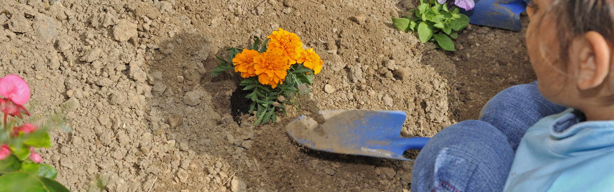 Budget participatif métropolitain #2 : la nature au cœur des projets citoyens