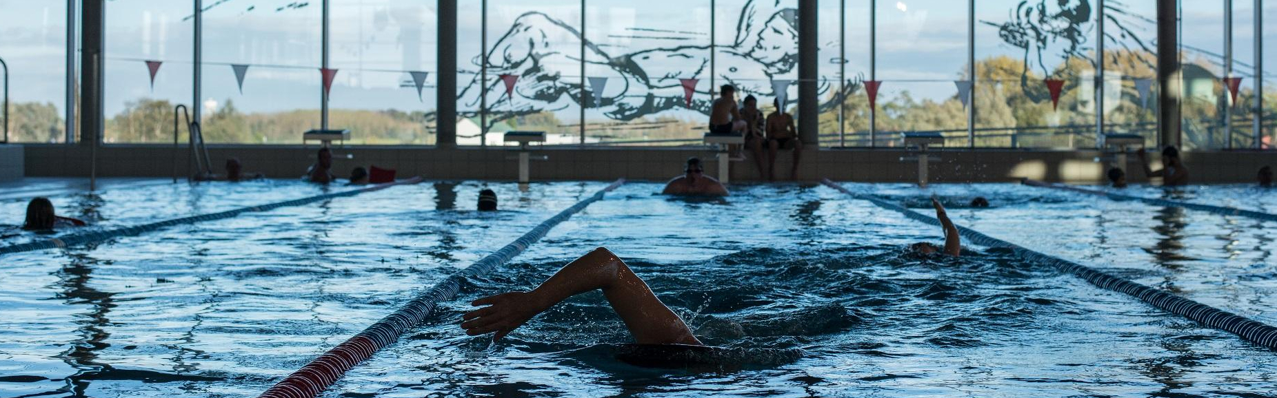 Plan Piscine : les bassins temporaires désormais éligibles au financement de la Métropole