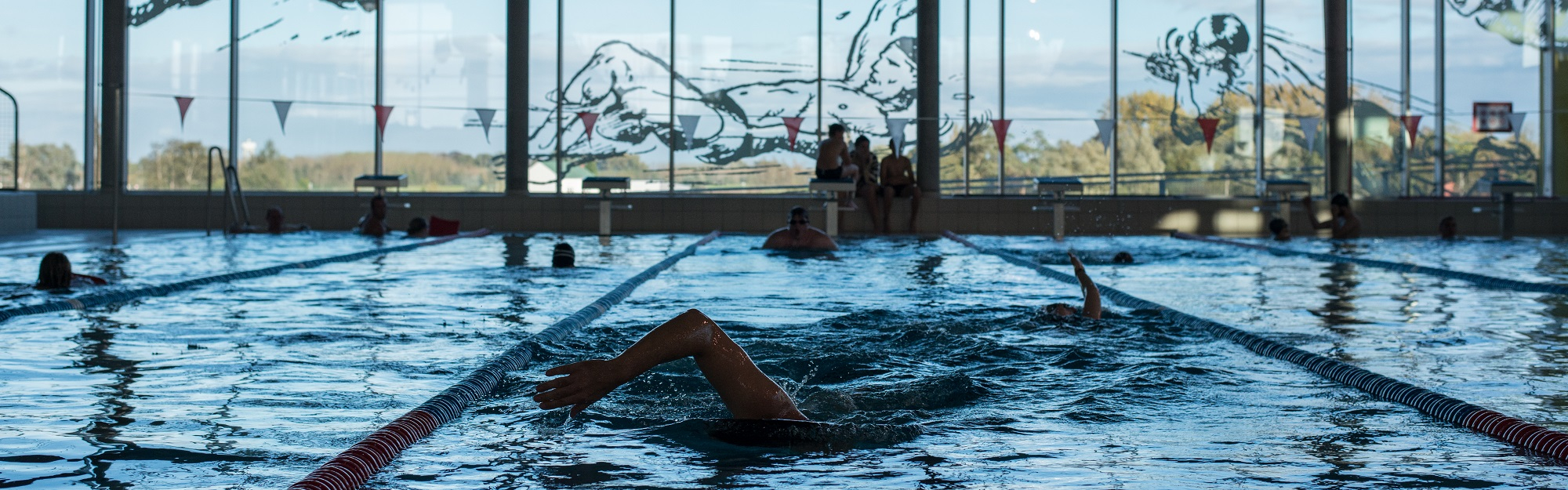 Plan piscine 2 : un bassin de 50 mètres dans la ZAC de l’Union
