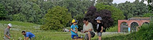 Relais Nature Santes