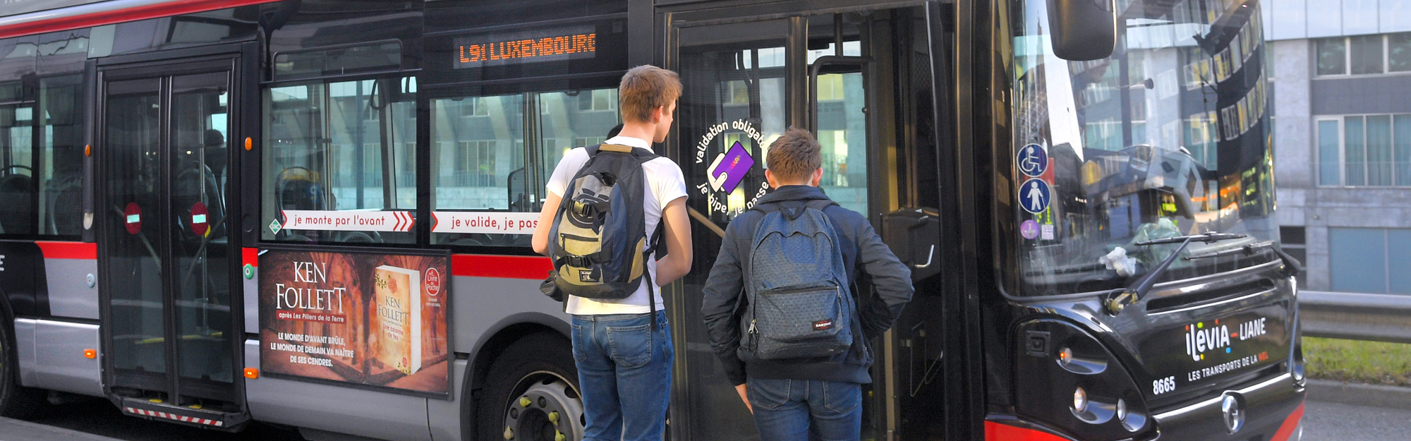 bus