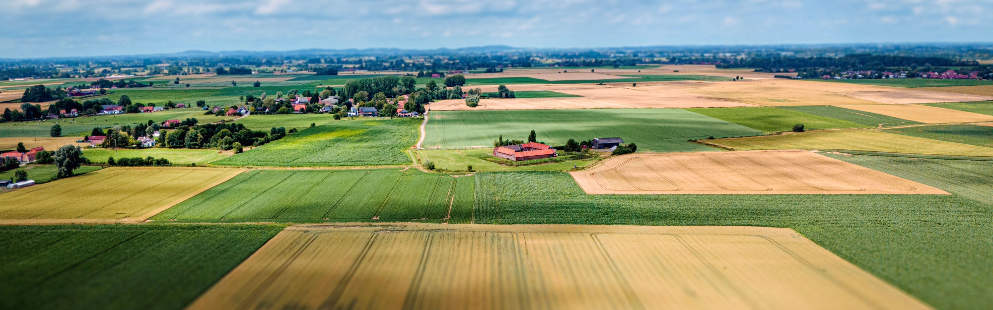 Zone maraichère de Wavrin
