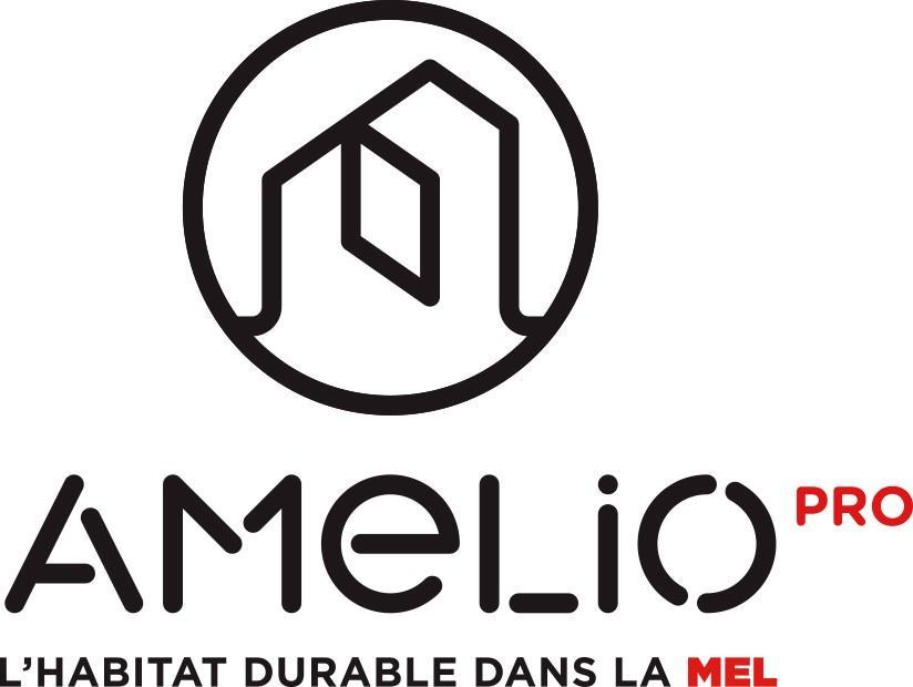 Logo AMELIO pro