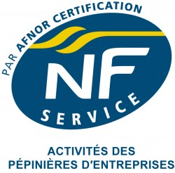 Logo NF Service activités des pépinières d'entreprises